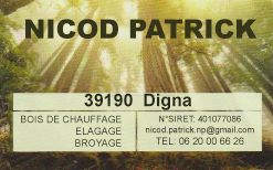 carte nicod