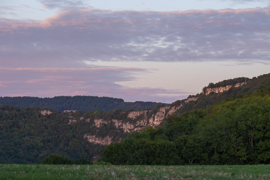 _MG_6406.jpg