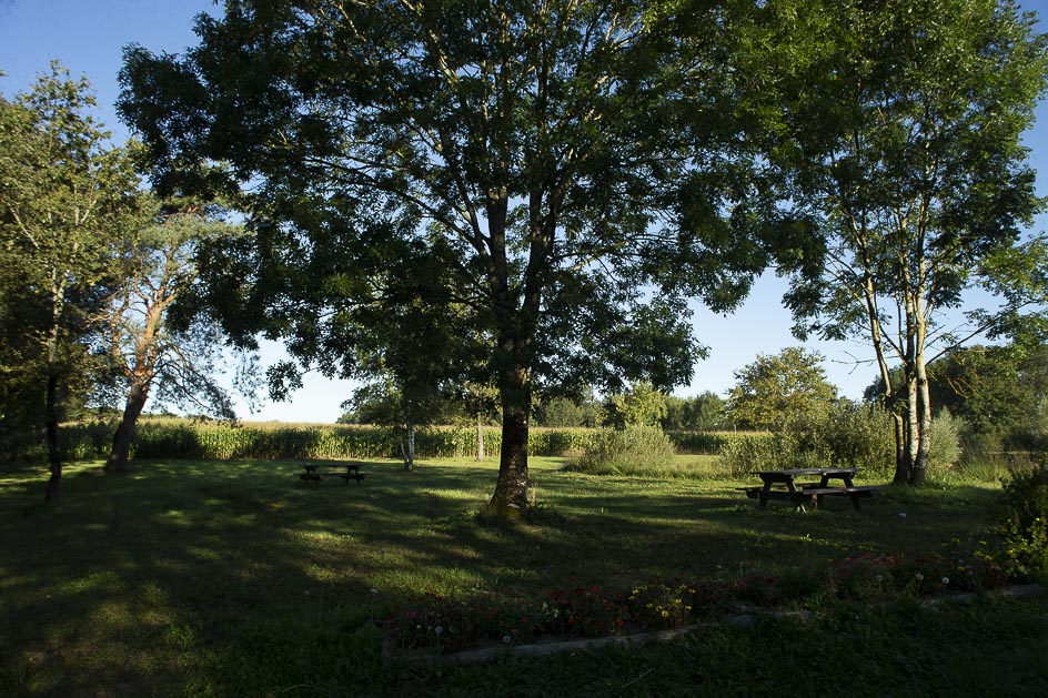_MG_6429.jpg
