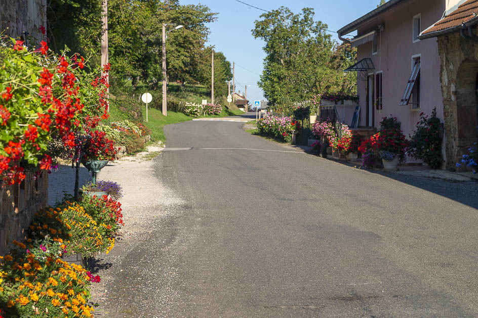 _MG_6513.jpg