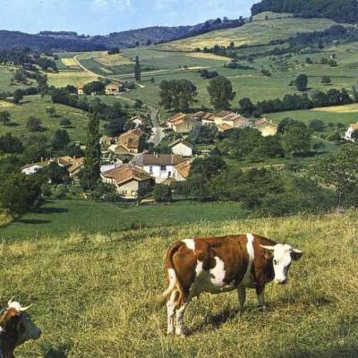 Anciennes 2